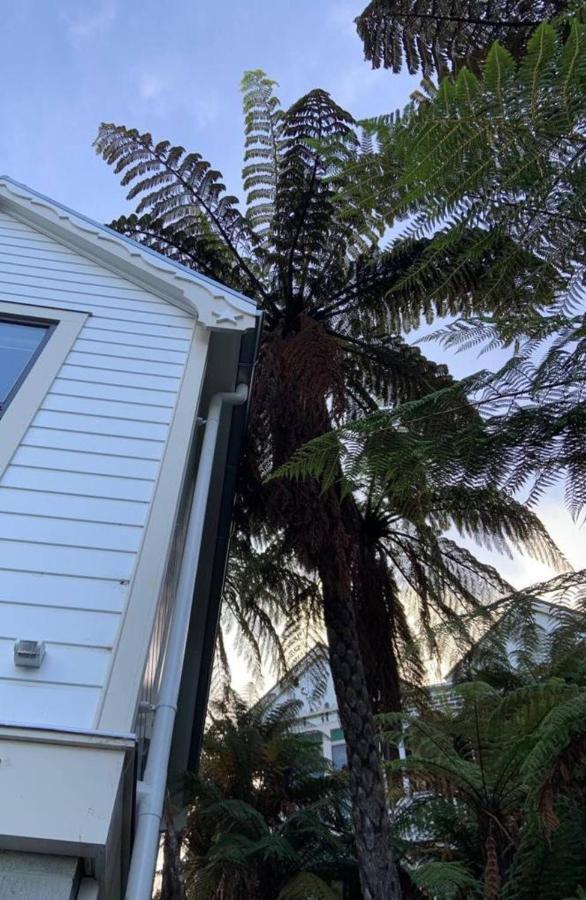但尼丁 Tiny House In The Sky酒店 外观 照片